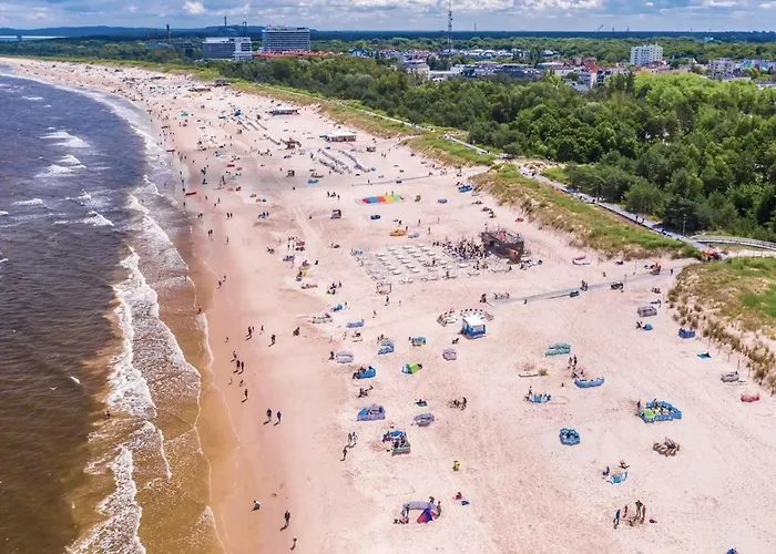 Apartament Sparrow *